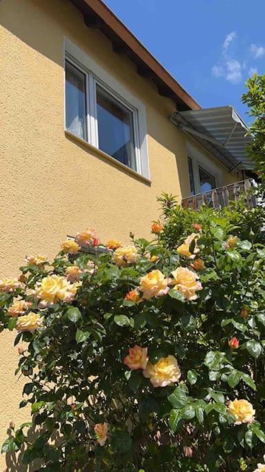 Duesseldorf Messe And Airport, 2-Bedroom Apartment With Kitchen And Garden ดุยส์บูร์ก ภายนอก รูปภาพ