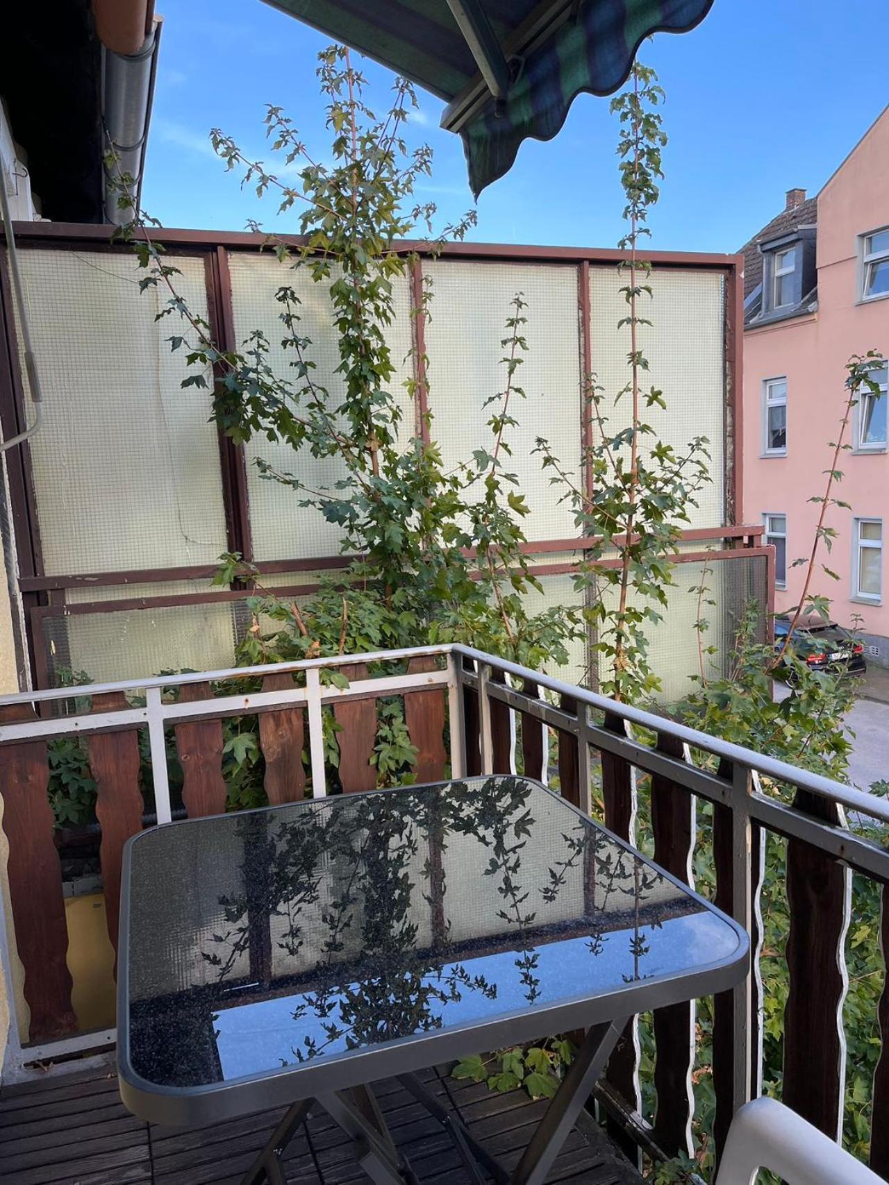 Duesseldorf Messe And Airport, 2-Bedroom Apartment With Kitchen And Garden ดุยส์บูร์ก ภายนอก รูปภาพ